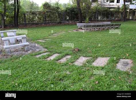 pathway  green plant stock photo alamy