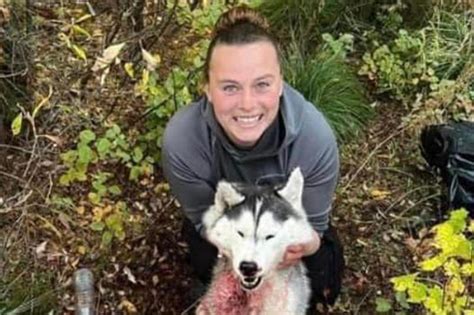 Montana Cacciatrice Scuoia Un Husky E Pubblica Le Foto Aperta Un