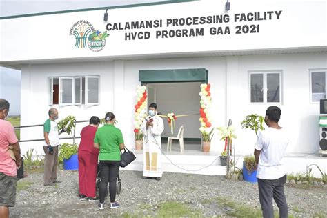 Da Hvcdp Rfo 2 Turns Over Calamansi Processing Facility To Aurora Fca