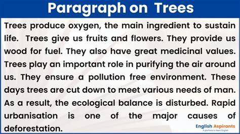 Paragraph On Importance Of Trees In 2024 Essay Writing Examples