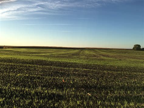 Climate Resilient Farming | Agriculture and Markets