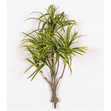 Dracena Artificiale Variegata Green Yellow Piantina Con Rami H