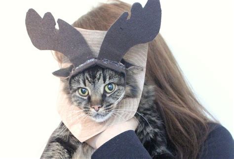 10 DIY Cat Costume Ideas for Halloween | Diy halloween costumes easy, Cat costume diy, Diy ...