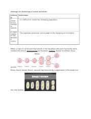 Advantages and disadvantages of asexual reproduction.docx - Advantages and disadvantages of ...