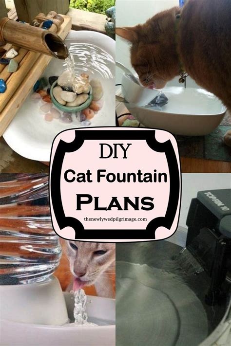 Diy Cat Fountain Plans To Encourage Drinking Habits In Felines Cat