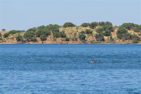 Passeios De Barco E Desportos N Uticos No Lago Alqueva Alentejo