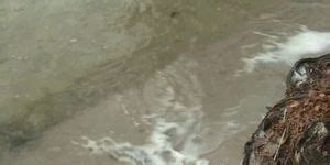 She Takes Two Horny Dicks Outdoor Tnaflix