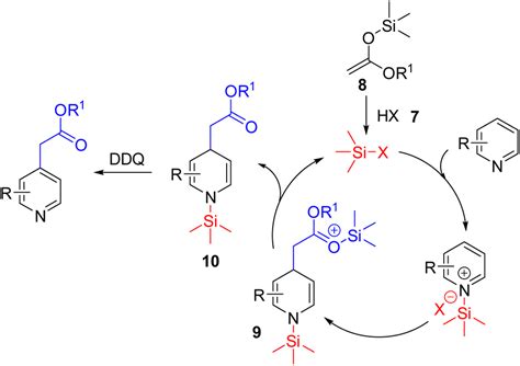 Ch Functionalization Of Pyridines Organic Biomolecular Chemistry