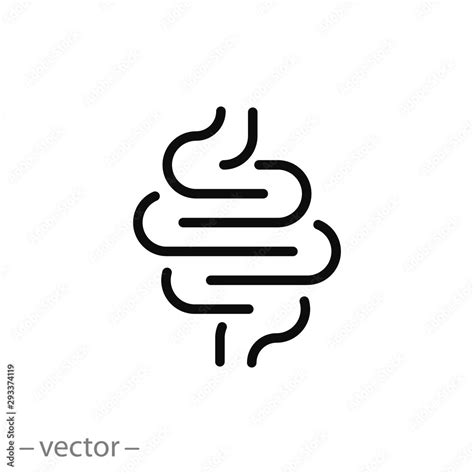 Intestine Icon Digestive Tract Gut Thin Line Symbol On White