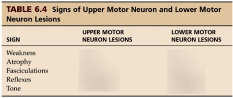 Upper And Lower Motor Neuron Signs Diagram Quizlet