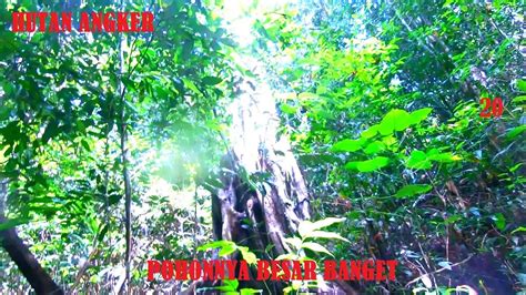 HUTAN ANGKER EXPLORASI LOKASI TAMBANG BARU Penambang Timah Part 20