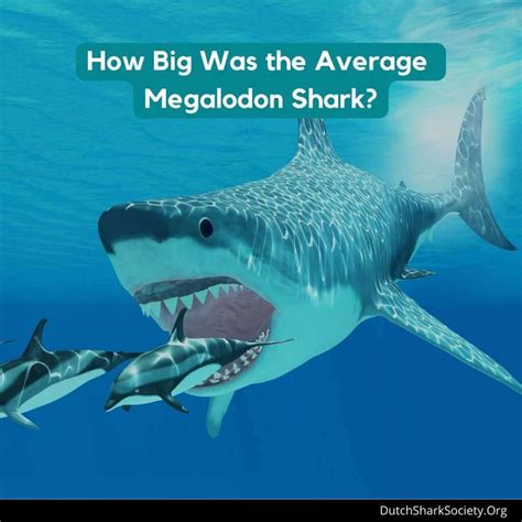 Prehistoric Megalodon Shark Was A Mammoth 60 FEET Long 50 OFF