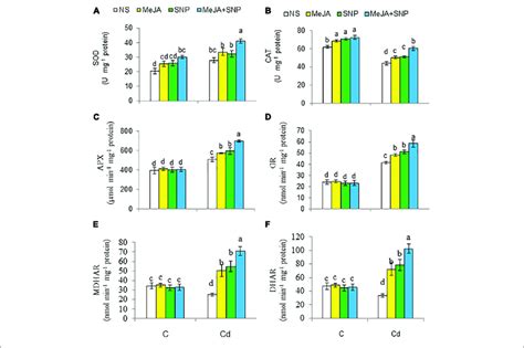 Activities Of Superoxide Dismutase Sod A Catalase Cat B Download Scientific Diagram