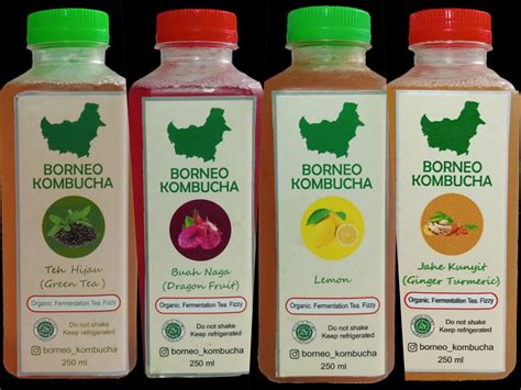 Menengok Usaha Teh Kombucha Minuman Fermentasi Beragam Khasiat Poros