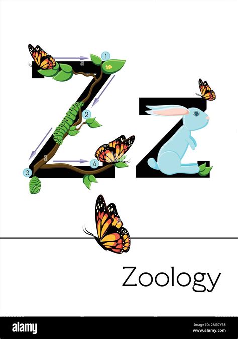 Flash Card Letter Z Is For Zoology Science Alphabet For Kids Puzzle