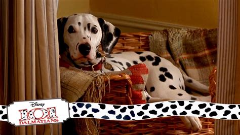 101 Dalmatians 1996