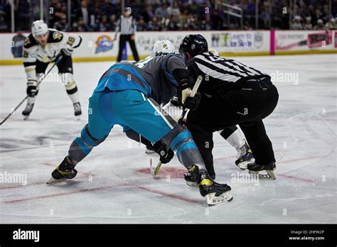 Wheeling Nailers Roster 2024 - Ilene Lavinie