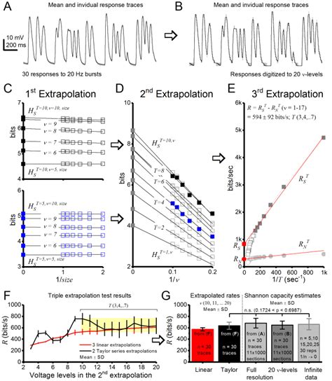 Figure Supplement 4 Drosophila R1 R6 Photoreceptor Output Information Download Scientific