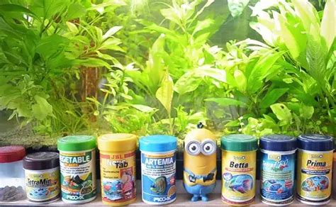 aquarium-fish-food – Love Fish Tank