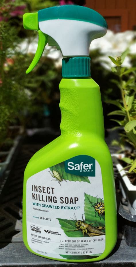 Safer Insect Killing Soap With Seaweed Rtu Westbrae Nursery