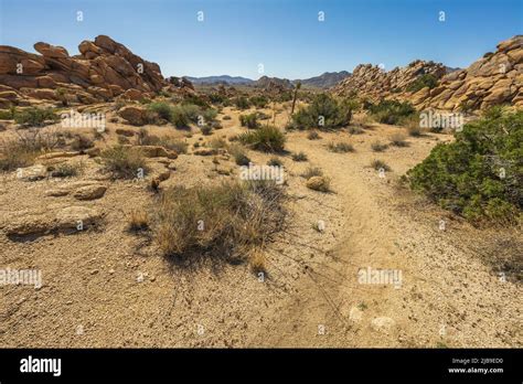 Hiking The Maze Loop In Joshua Tree National Park In California Usa