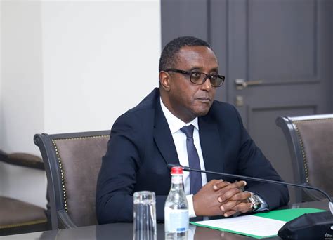 deputy foreign minister  armenia met   minister  foreign