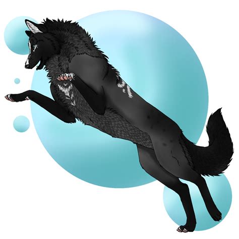 Wolfy wolfy art by Weveri on DeviantArt