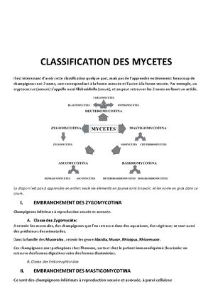 Bio Les Milieux De Culture Les Milieux De Culture En Bact Riologie