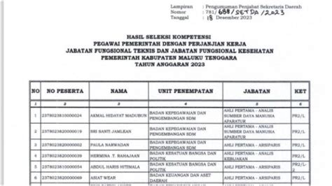 Hasil Kelulusan Seleksi Calon PPPK Jabatan Fungsional Teknis Dan