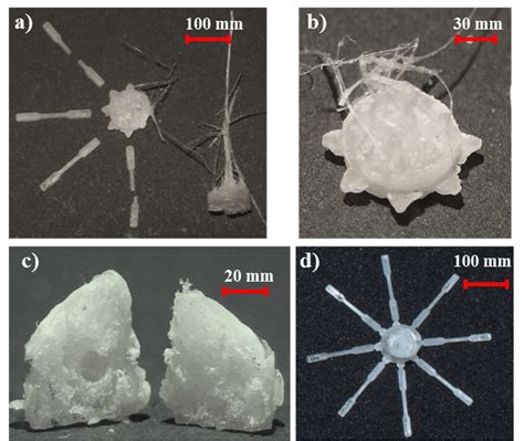 Polylactide (PLA) micromolded samples loaded with 10 wt-% of sodium ...