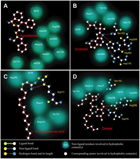 Ligplot Diagrams Illustrating Protein Ligand Interactions A