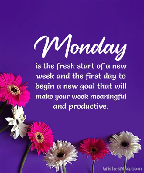 80+ Happy Monday Wishes, Messages and Quotes - WishesMsg (2024)