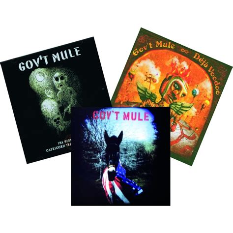 Amazon De Best Of Capricorn Years Deja Voodoo Gov T Mule Set