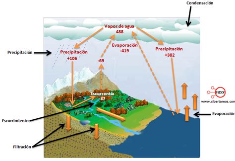 Ciclo Del Agua Y Balance H Drico Geograf A Cibertareas