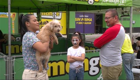 Feria De Adopci N Canina Este Fin De Semana En Monge Delfino Cr