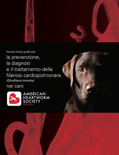 PDF Nuove Linee Guida Per La Prevenzione La Diagnosi E Il PDFSLIDE