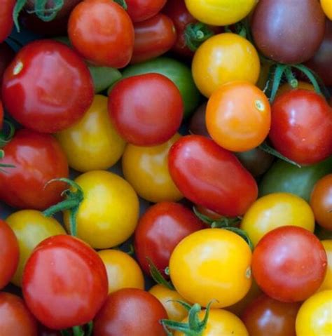 Items similar to Tomato, Organic Heirloom Cherry Tomato Mix Seeds | Delicious Assortment of ...