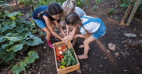 Farm To School School Garden Network Giveaway Durable GreenBed