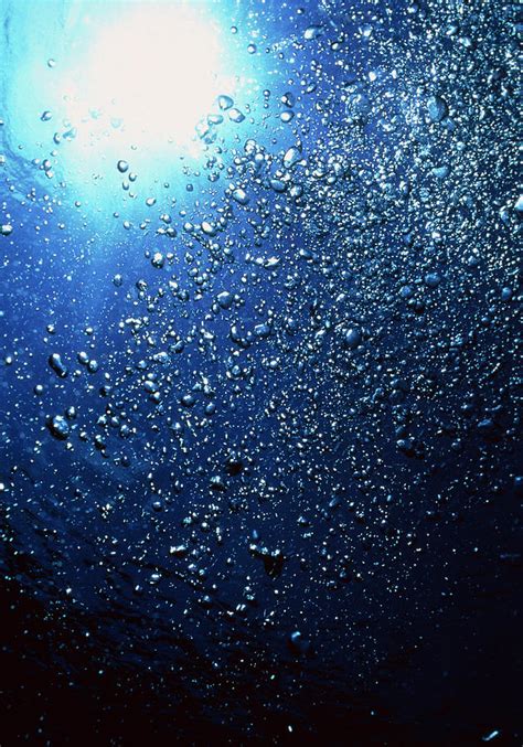 Scuba Bubbles Photograph By Matthew Oldfieldscience Photo Library Pixels