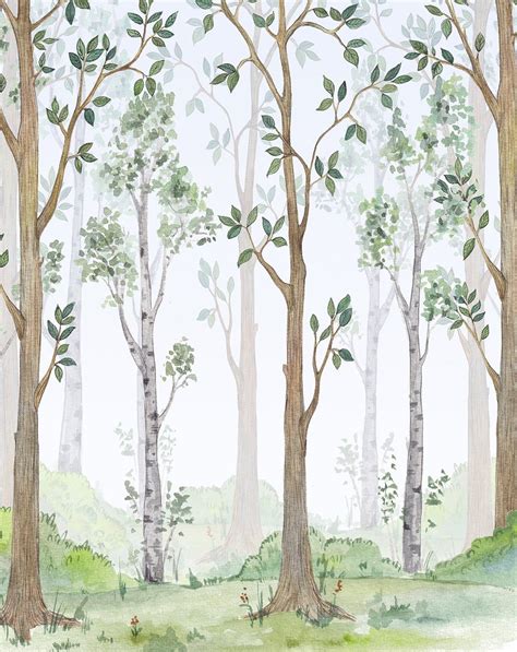 Hidden Forest Wallpaper Mural 280cm Wide X 270cm High Forest