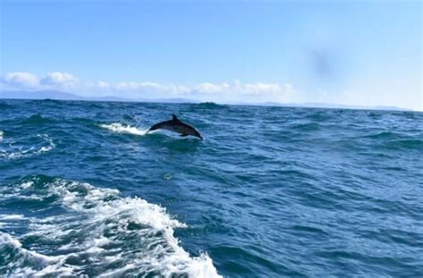 The Blasket Island Airbnb That Offers A View That's Out Of This World