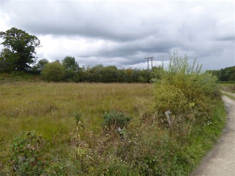 Marshy Field North Of Norleigh Mill Farm © David Smith Cc By Sa20