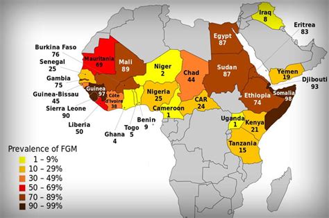 Drexel Womens Care Center Improving Female Genital Cutting Related