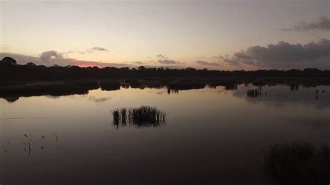 Help Save Beeliar Wetlands | Together we can save the wetlands - come ...