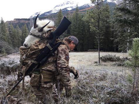 How To Judge Mountain Goats Total Outdoor Adventures