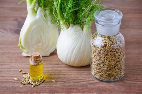 Fennel Tea 5 Health Benefits And Risks