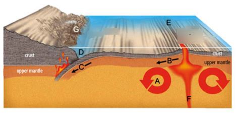 Plate Tectonics Diagram Quizlet