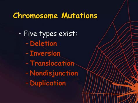 types  mutationsppt