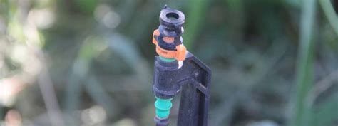 step  install efficient irrigation