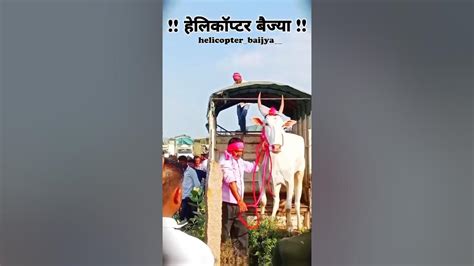 हेलिकॉप्टर बैज्या ️👑🦅 Viral Shortvideos Sharyat Bull Bailpremi